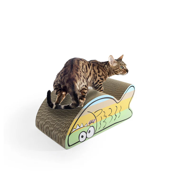 Catoon Belly Rubbing Fish Scratcher