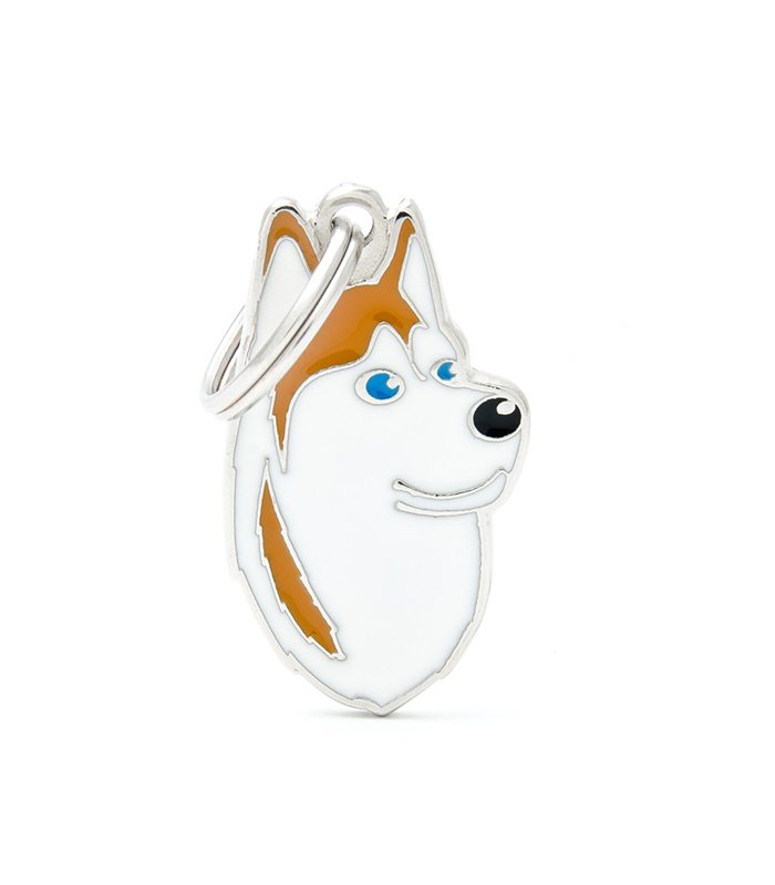 White & Orange Husky